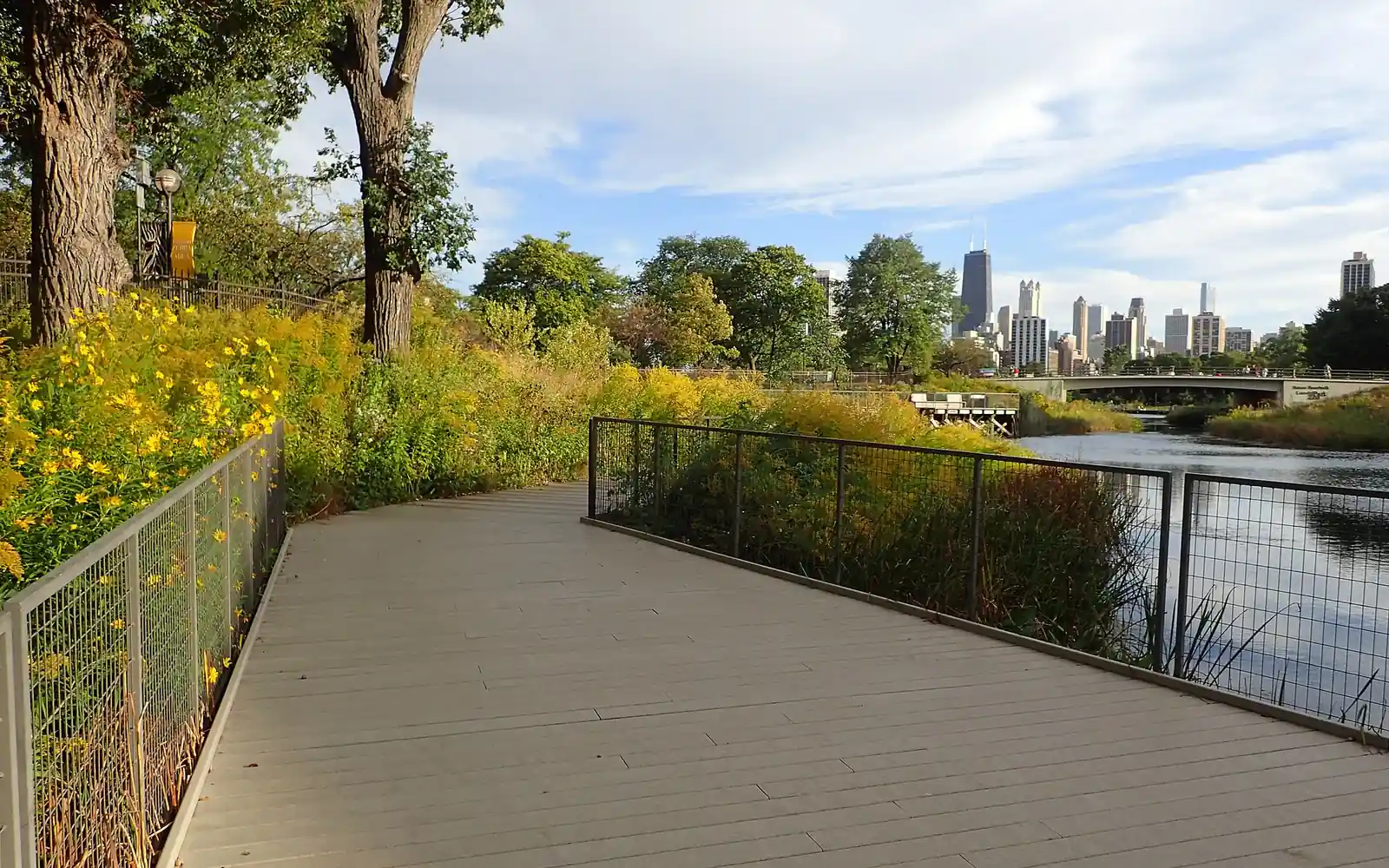 Boardwalk and wildflowers along the Lakefront Trail, Chicago